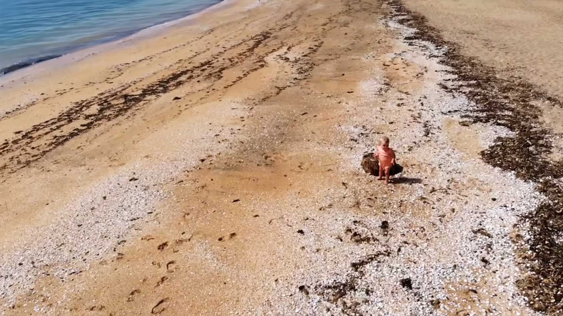Ein Menschenbaby in der Wildnis aussetzen