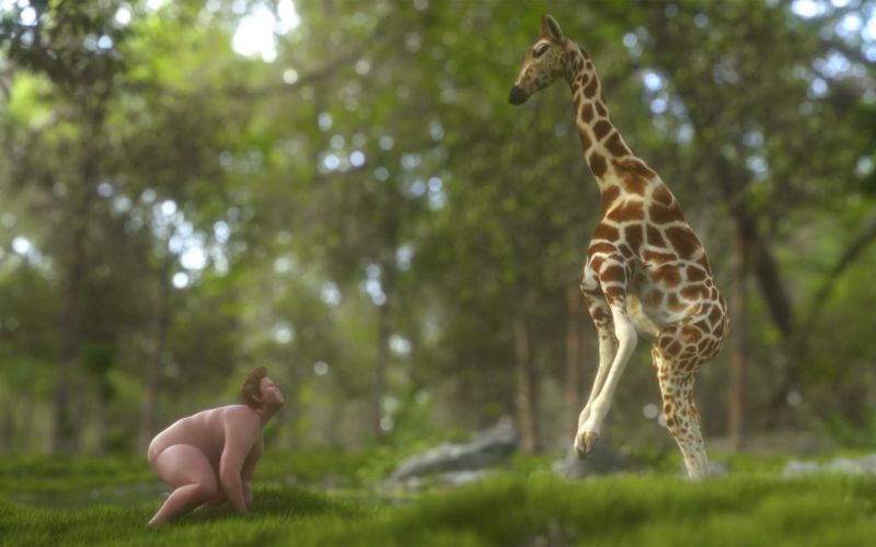 Jacob and the Giraffe