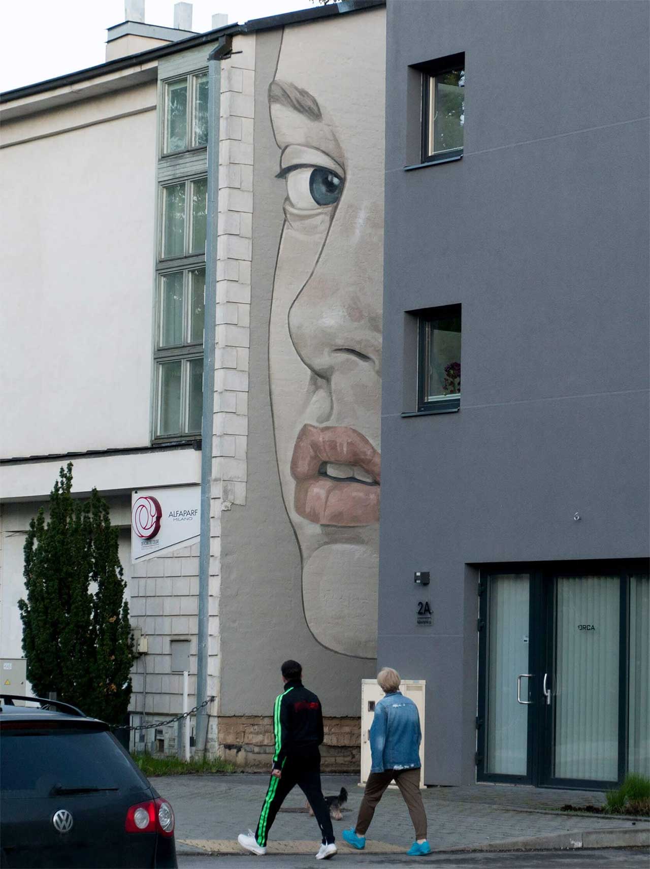 Murals von Morfai Morfai-Street-Art_03